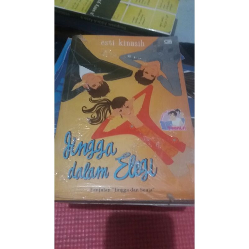 Novel Preloved/Bekas Jingga dalam Elegi