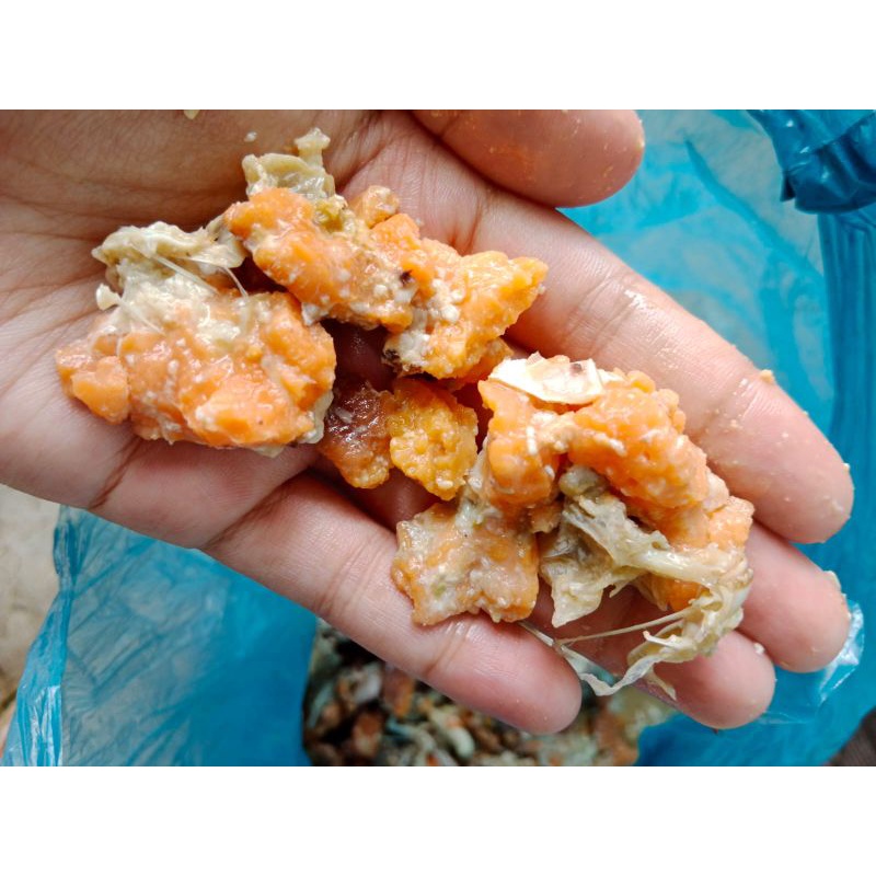 

telur/otak kepiting bersih (1kg) tanjung balai asahan