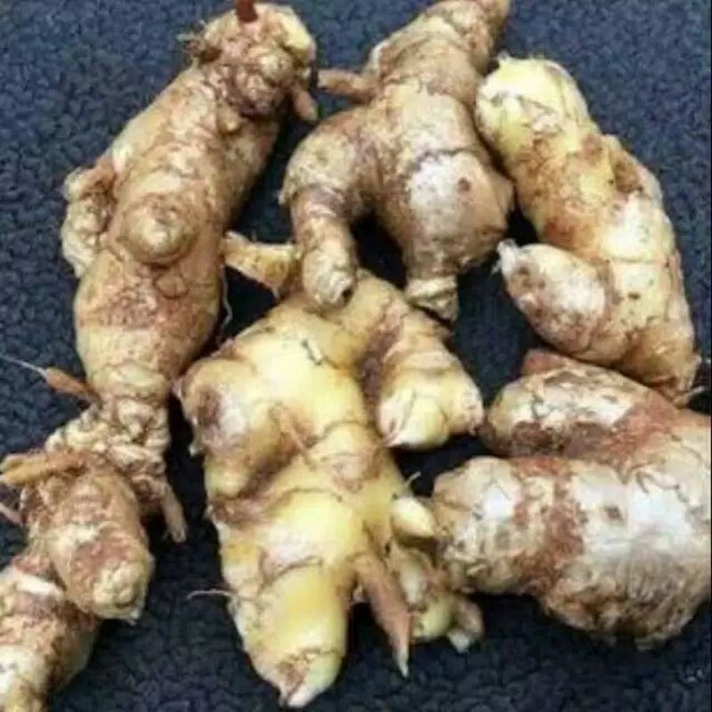 

Lempuyang Fres(kaya manfaat) 500gr