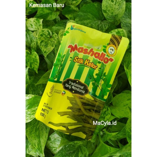 

Stik Daun Kelor |Camilan Stik Daun Kelor |Stik Enak Gurih| Moringa Stik | Khas Bojonegoro