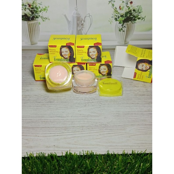 Lusinan Cream Temulawak Beauty Original Siang&amp;Malam(lusin)