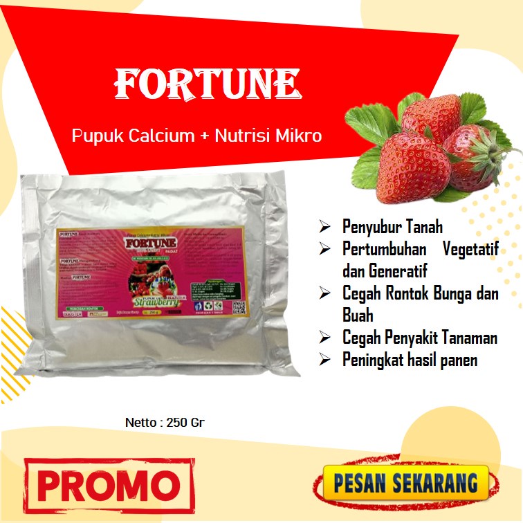 Pupuk Strawberry Booster Strawberry Pupuk Strawberry Agar Berbuah