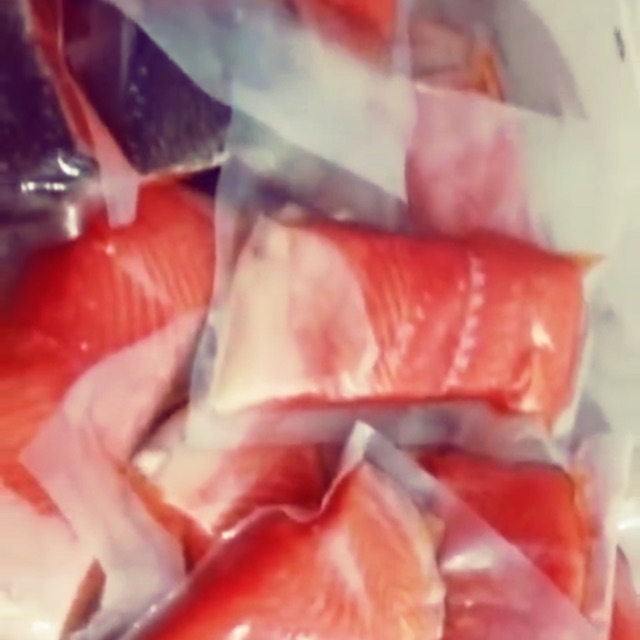 

Salmon fresh jogja