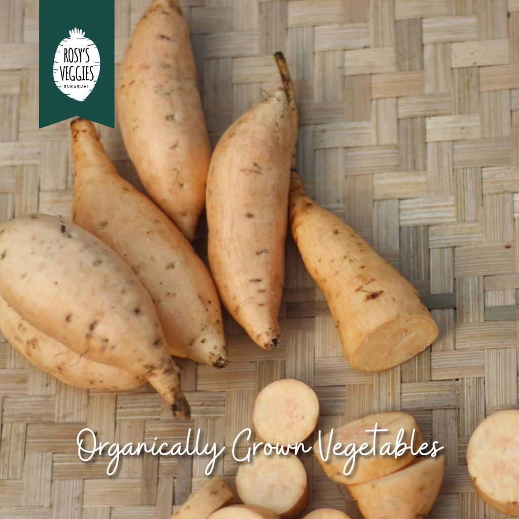 

Ubi Cilembu Organik | per kg