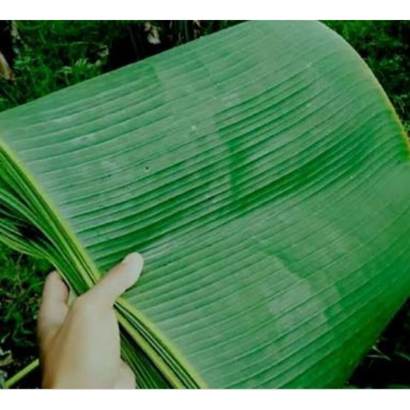 

Daun pisang produk ungulan petani