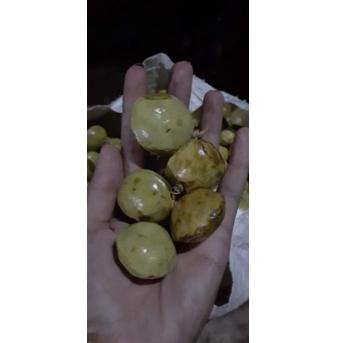 

(P-EVU> (☀> jengkol muda / lalap / sayuran 250g (kekinian>