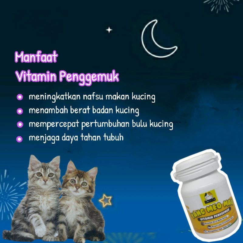 Vitamin Kucing Nafsu Makan, Berat Badan Kurus, Bulu Rontok/Kusam dan Imunitas Tubuh