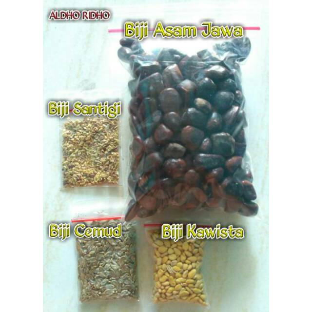 Biji Bonsai mix paket 4 Jenis Biji Bonsai Garansi termurah