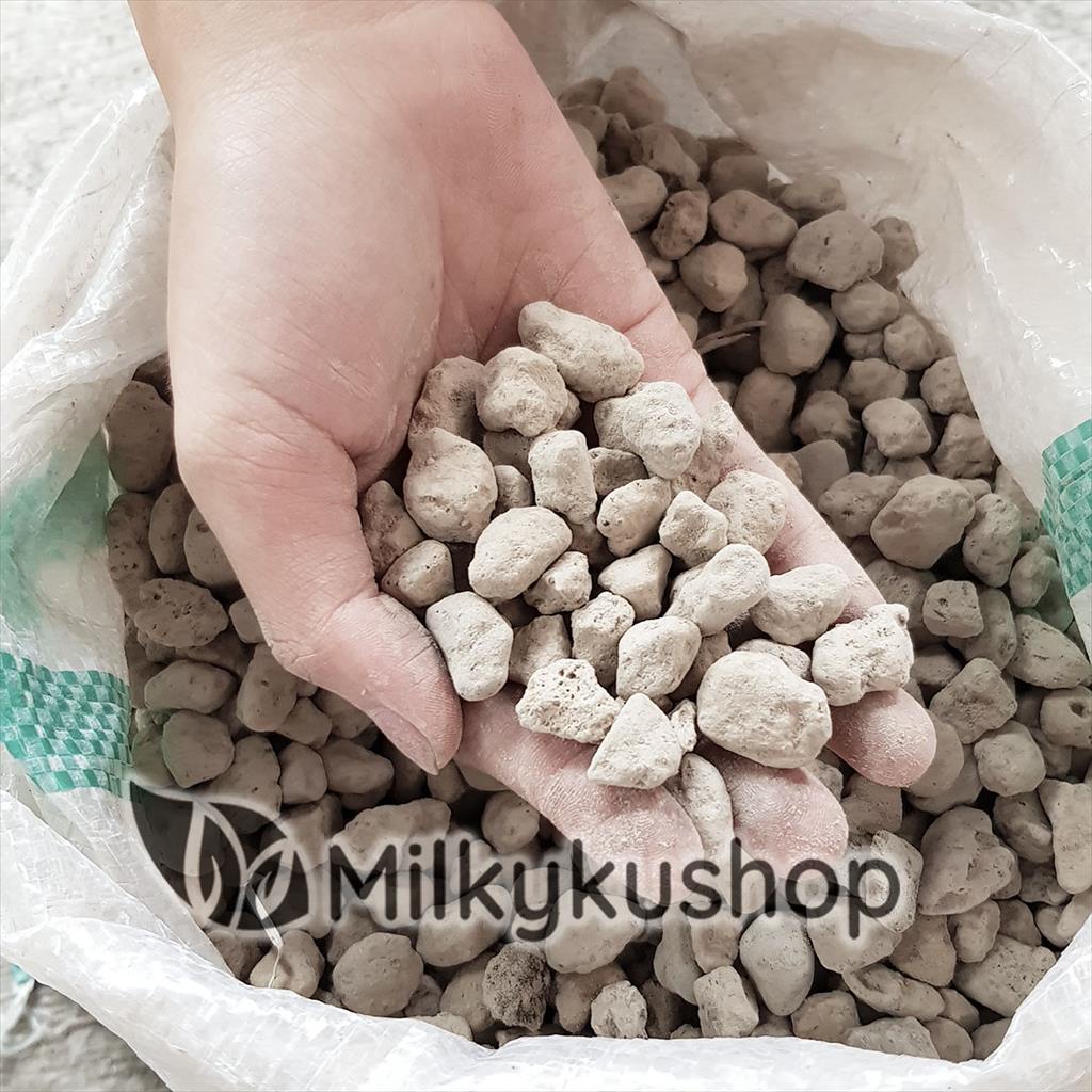 BATU APUNG SEDANG - PUMICE STONE AQUARIUM FILTER