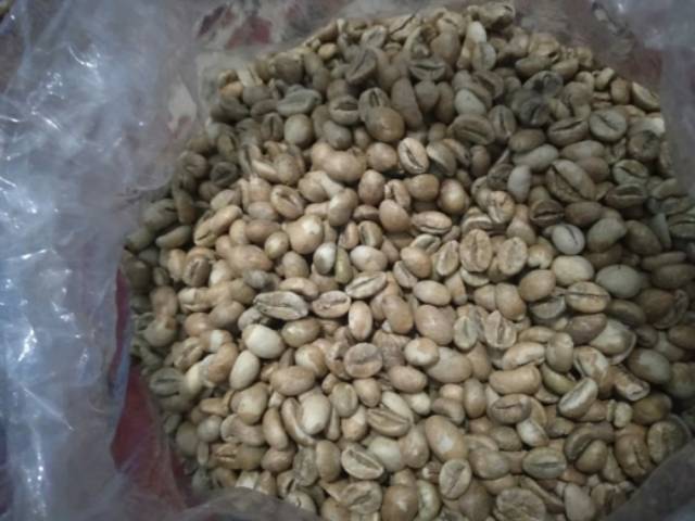 

Greenbean Robusta Asli Gunung Dempo Pagar Alam Sumsel Biji Kopi mentah 500gr