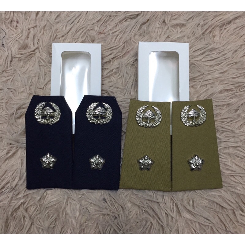 pangkat pdh lurah/pangkat pdu lurah/pangkat kades pdh dan pdu