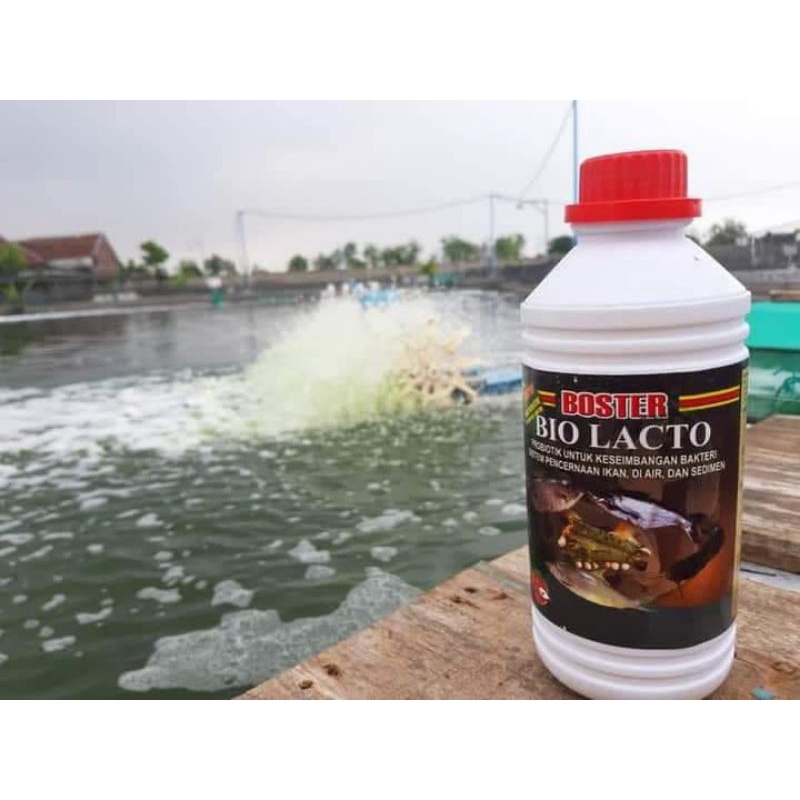 Probiotik ikan Boster Biolacto 1 liter