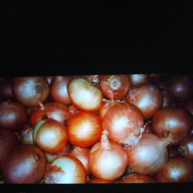 

bawang bombay