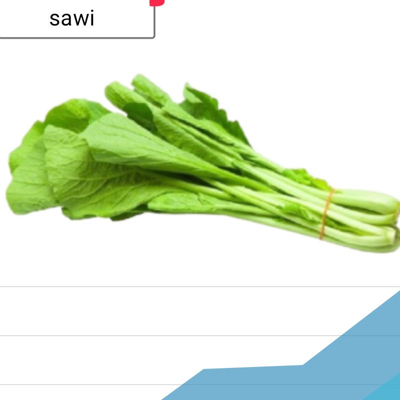 

sawi segar kualitar terbaik 250gr