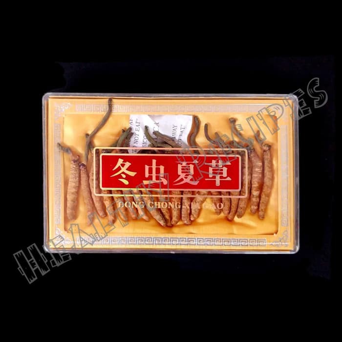 

Dong Chong Xia Cao Cordyceps 10 gr