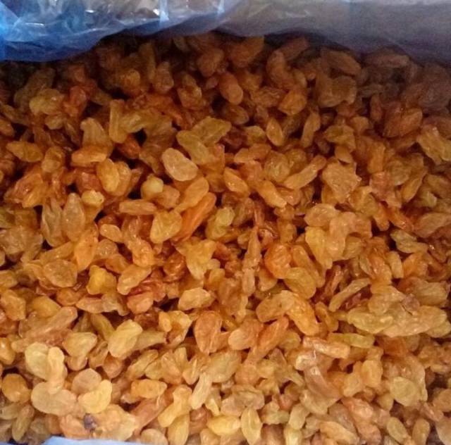 Kismis golden Raisin 1kg /Kismis Asam Manis /oleholeh haji umrah