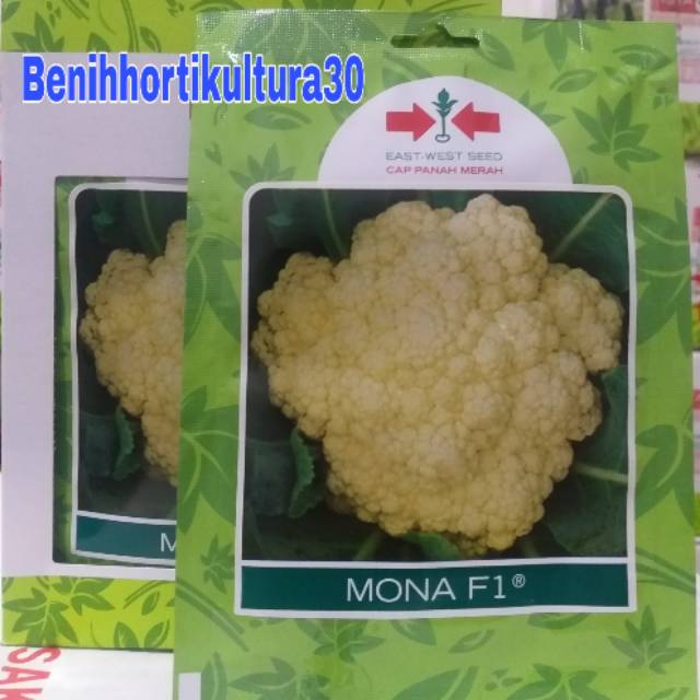 Benih bunga kol  MONA F1 isi 250 butir