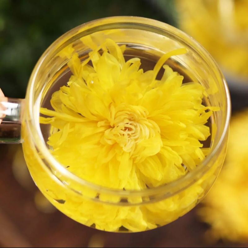 Golden Chrysanthemum Flower Tea : Teh Bunga Krisan Emas