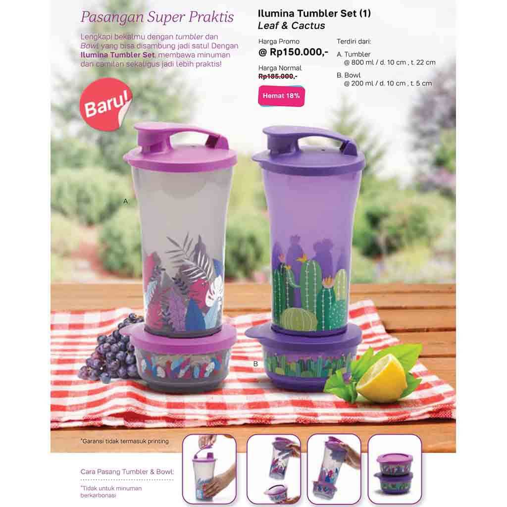 Ilumina Tumbler Set Leaf Cactus