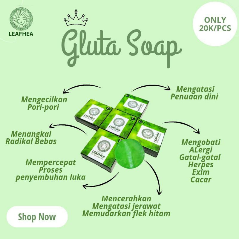 Paket sabun dan serum leafhea