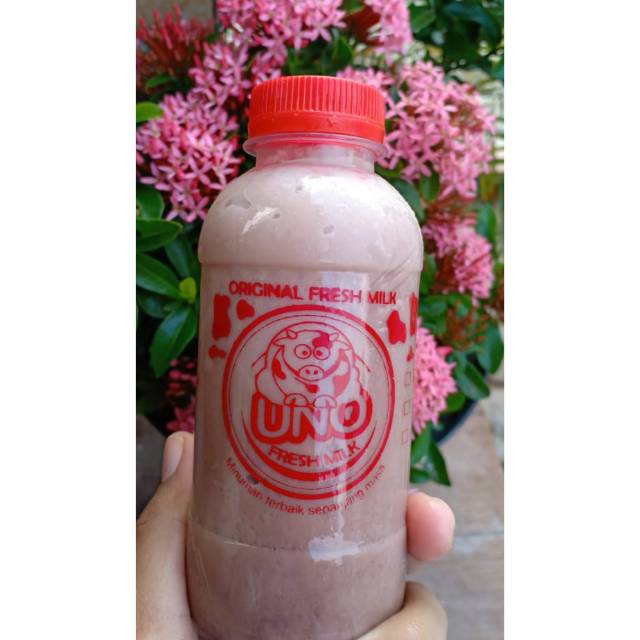 

Susu Sapi Segar (Original Fresh Milk) UNO