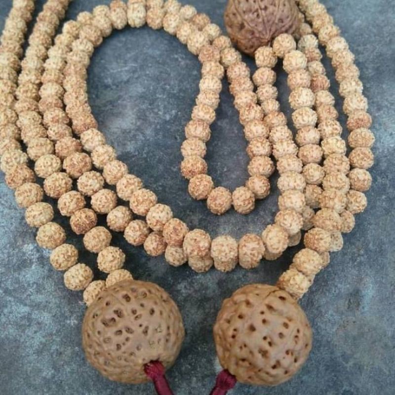 kalung rudraksha 108 asli rudraksha