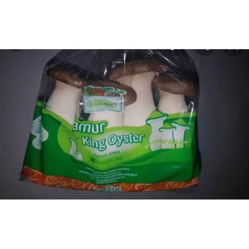 

jamur king oyster