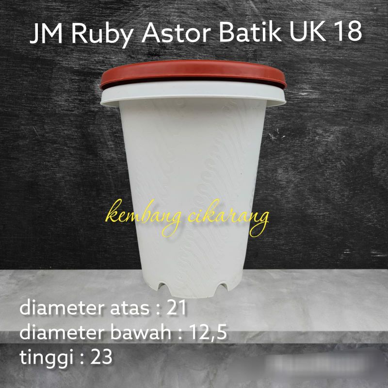 JM RUBY ASTOR BATIK UK 18 pot bunga tinggi mirip yogap murah bagus