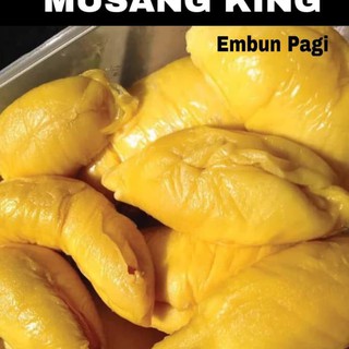 Download 570 Gambar Durian Musang King Original Keren Gratis HD