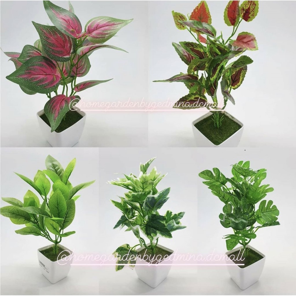 Pot Plastic + Bunga Palsu