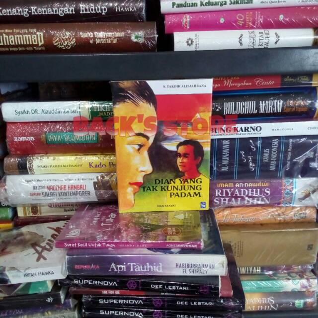 Buku Novel Dian Yang Tak Kunjung Padam By Sutan Takdir Alisjahbana Shopee Indonesia