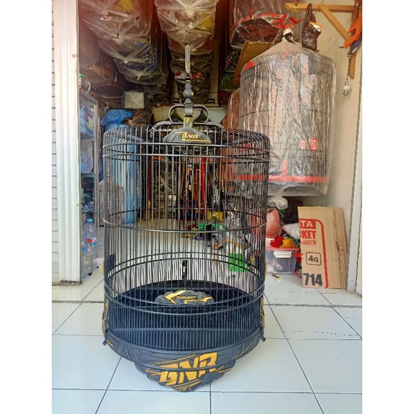 Sangkar Murai BnR 3D Racing Gold