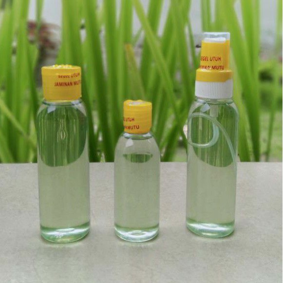 MINYAK KAYU PUTIH (AMBON PULAU BURU NAMLEA)  60ml, 100ml
