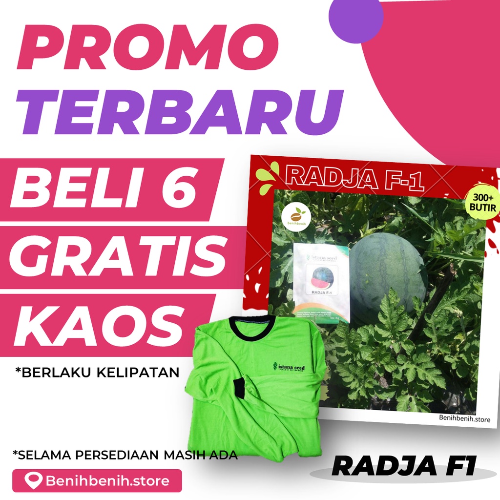 Benih Semangka Non Biji RADJA F1 - Bibit Semangka Non Biji Kualitas Tinggi Buah Besar Tahan Virus - 