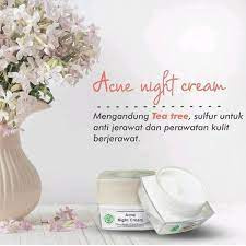 Night Cream Acne Ms Glow Original