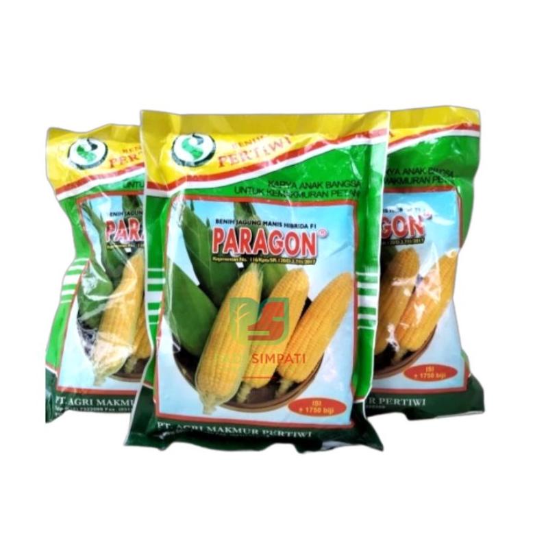 BENIH JAGUNG MANIS HIBRIDA PARAGON TERLARISS...,,,,,