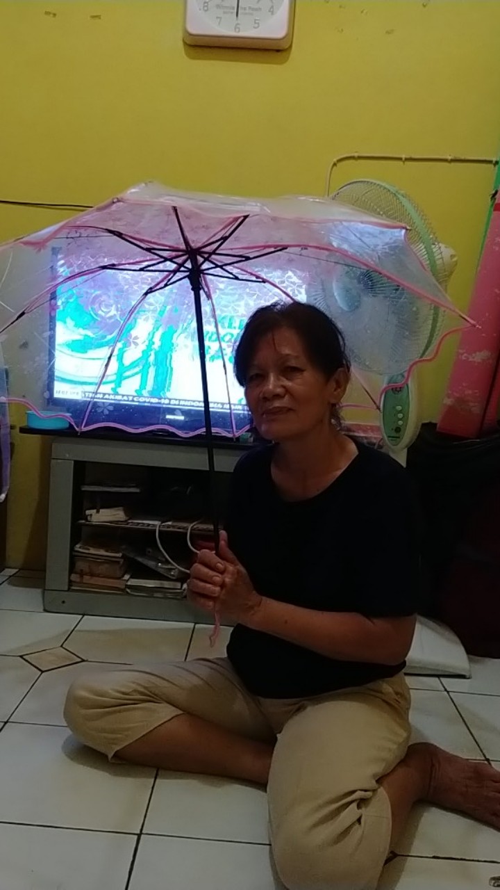 Payung Jepang Lipat Motif Transparan Cherry Blossom - E023 Titangadget