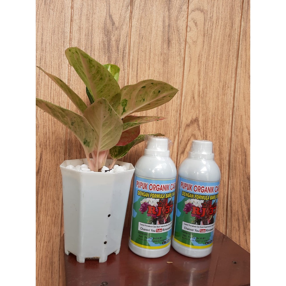 Pupuk Organik Cair Plus RJ 37 500 ml
