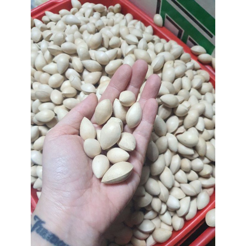 

Bai guo / ginko biloba / pek ko 500gr / ginkgo nuts / pek koi /白果