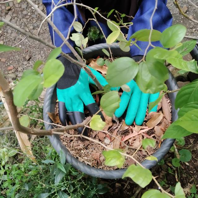 Sarung Tangan Kebun (Garden Gloves)