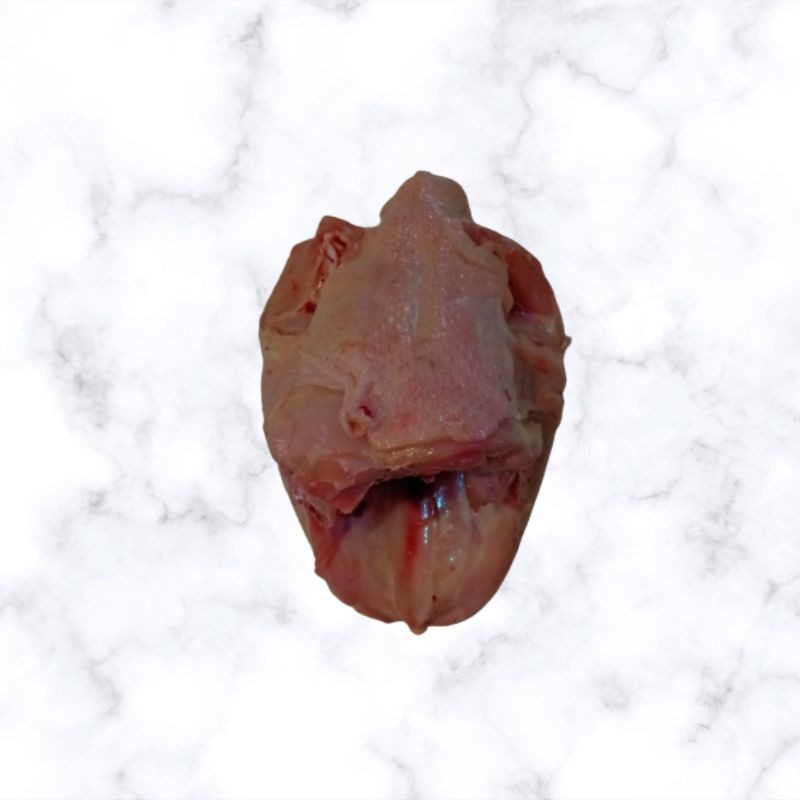 Ayam Broiler 1 Kg Dada