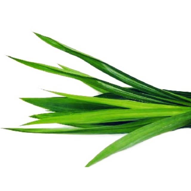 

DAUN PANDAN SEGAR