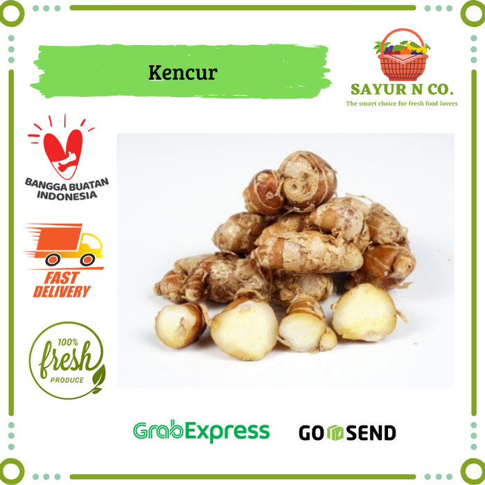 

Kencur | Sayur N Co Bekasi