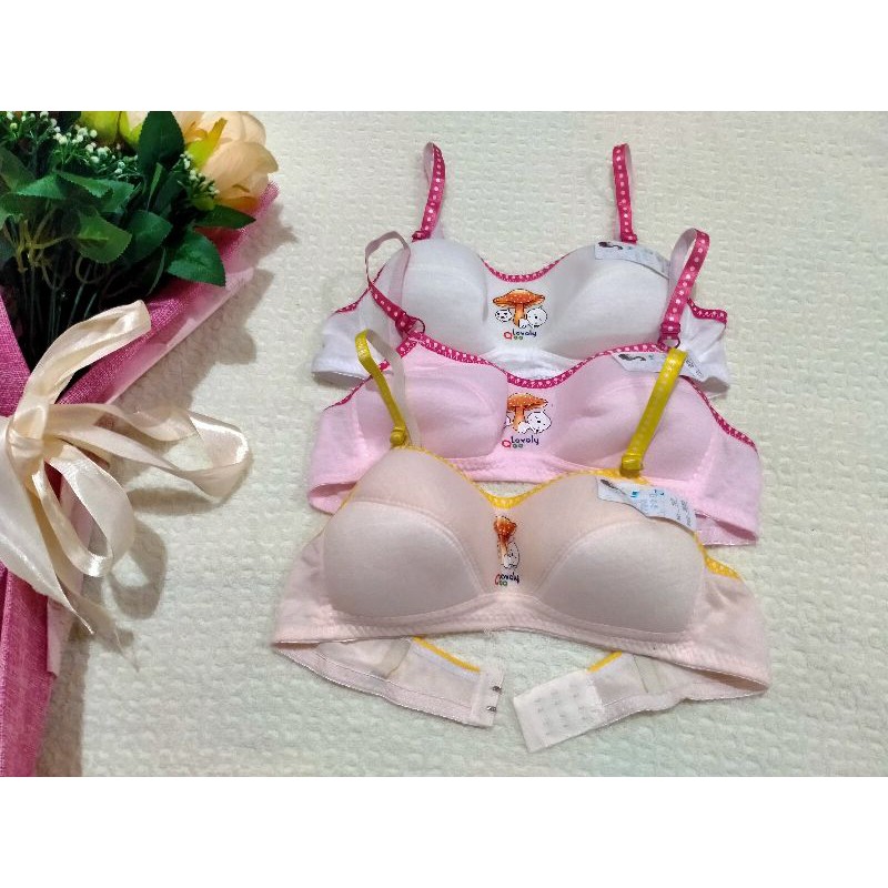 Bra  pelajar jamur / bh pelajar/ bh pemula