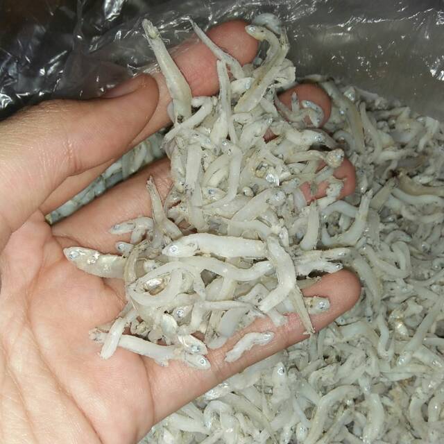 

Teri medan super