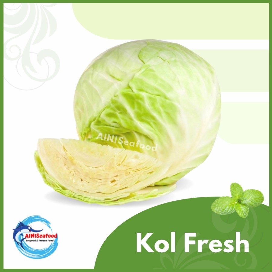 

Sayur Kubis Kol Putih Fresh Cabbage Vegetable Fresh Segar berkualitas - 500 gram
