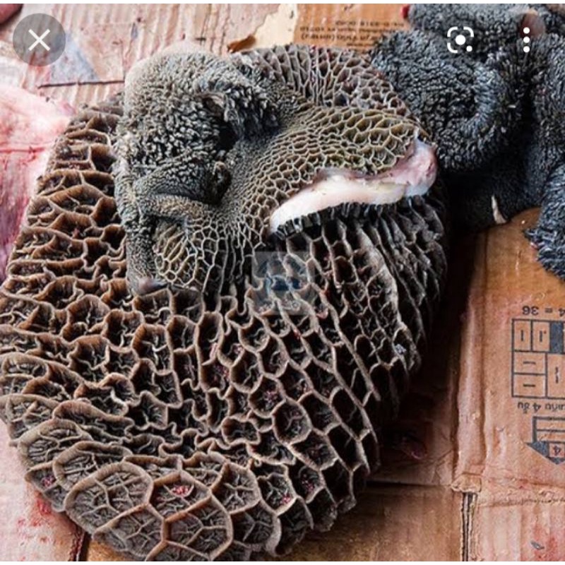 

babat hitam sapi lokal segar dijamin bersih 1kg