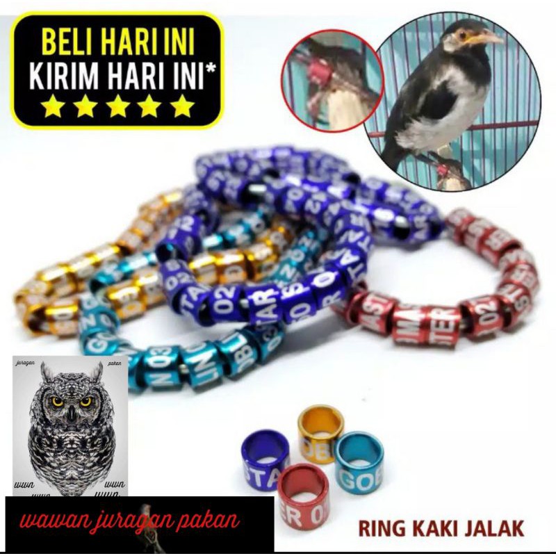 ring burung jalak