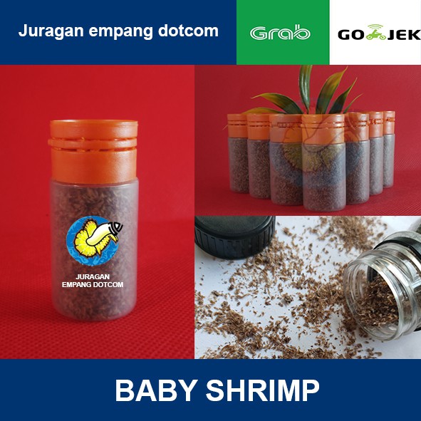 Baby Shrimp Pakan Cupang / Pakan Burayak / Pakan Guppy