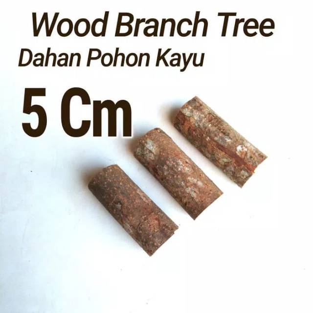 Wood Branch Tree 1-2 cm x 5 Cm Dahan kayu potongan kayu bahan craft